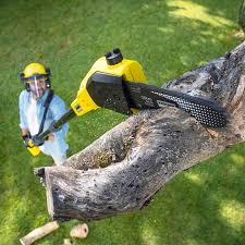 Best Weed Control  in Dimmitt, TX